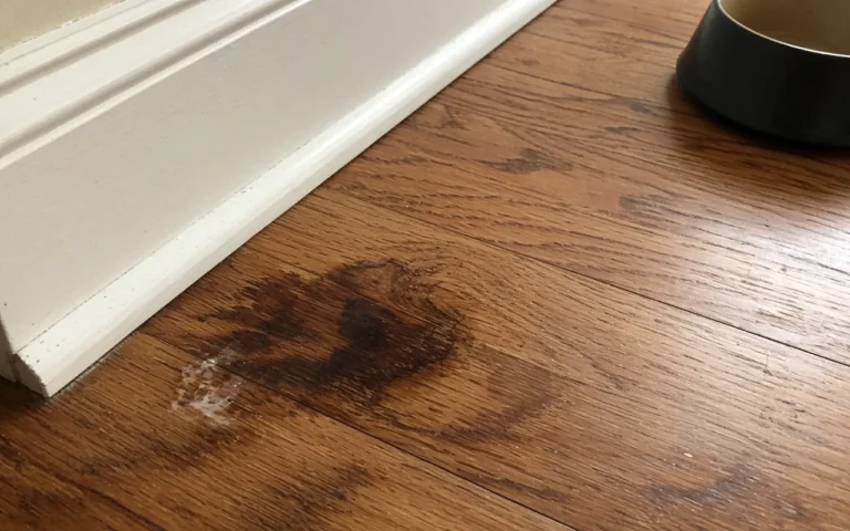 How to Clean and Restore Wood Floors Damaged by Dog Urine Dark dog urine stain on oak floor by the baseboard