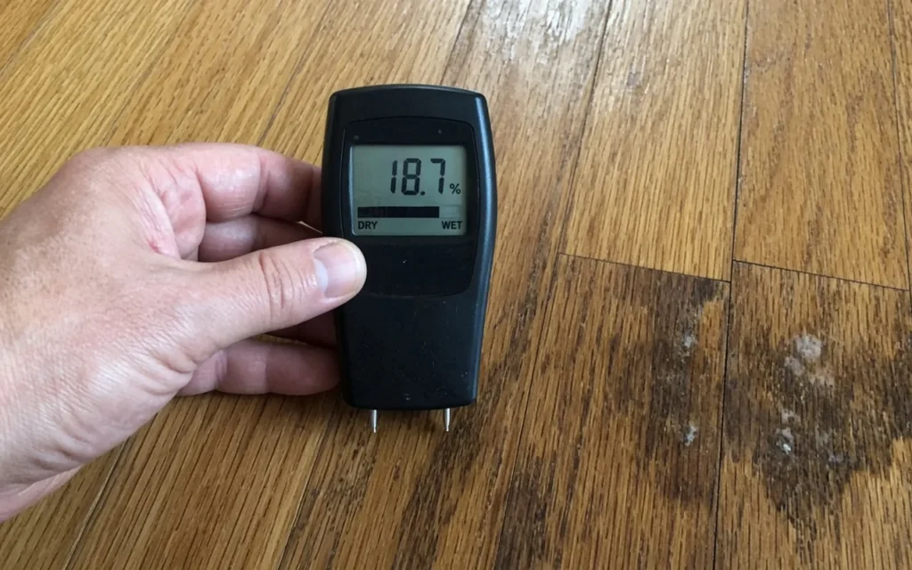 Water Damaged Wood Floor Repair (Easy DIY Restoration Steps)