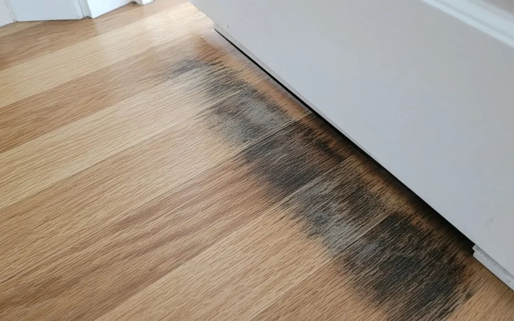 How to Fix Urine Damage on Wood Floors