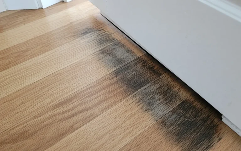 How to Fix Urine Damage on Wood Floors Pet urine blackening along a strip of oak floor