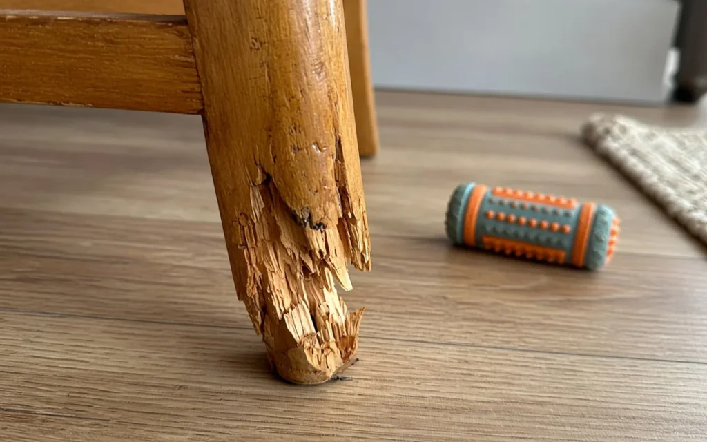 Chewed Wood Repair: Simple Solutions for Pet Damage