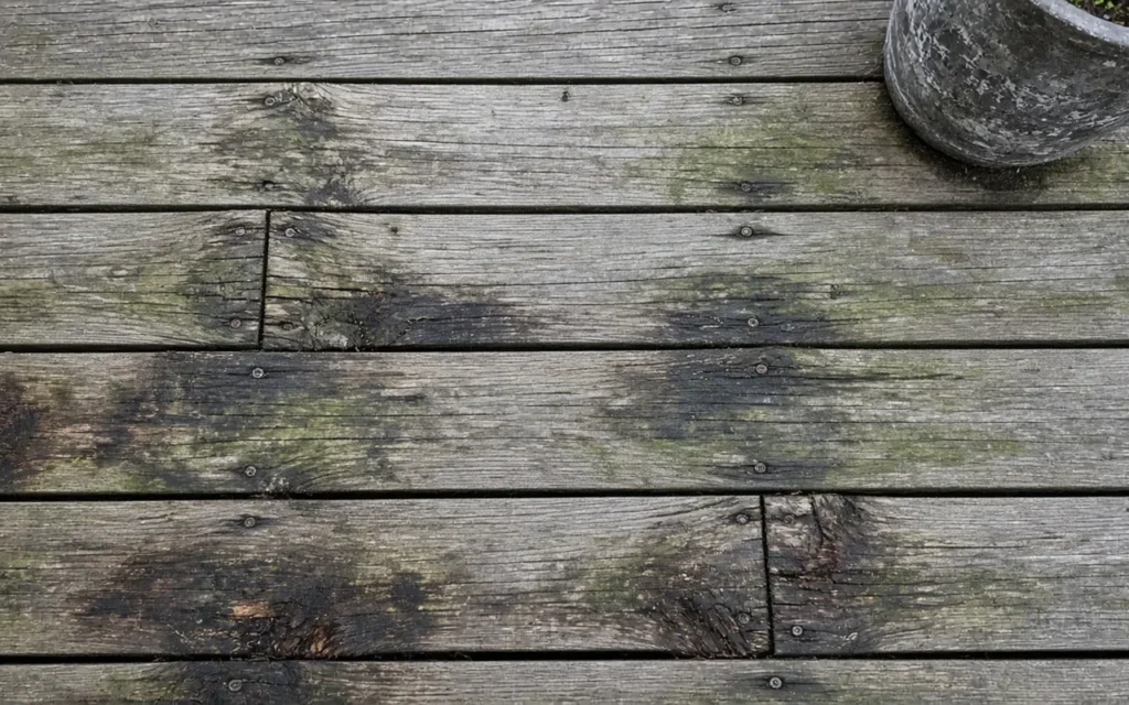 Wood Deck Surface Repair (Professional Tips for Outdoor Maintenance)